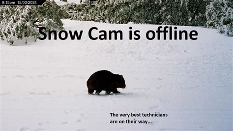 telephone box junction snow cam|Victorian Alps .